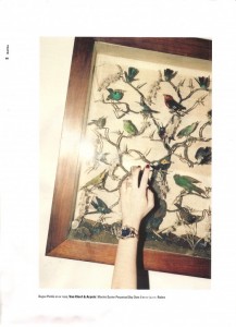 Blog BGC